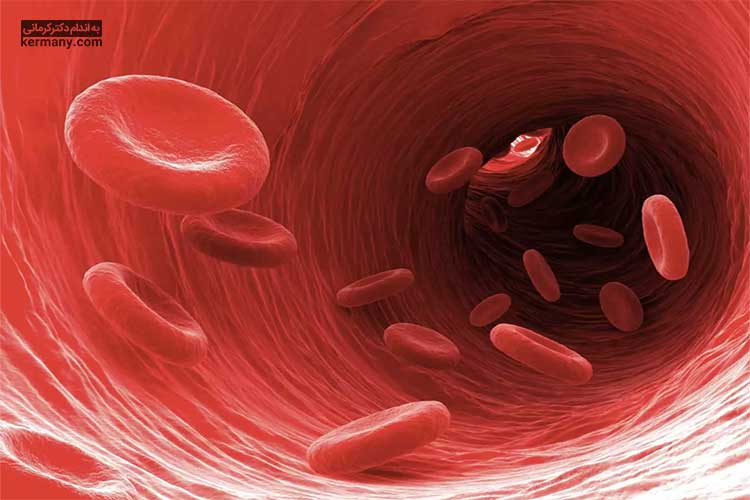 بیماری فاویسم گلبول‌های قرمز خون را که اکسیژن را از ریه‌ها به بافت‌های سراسر بدن حمل می‌کنند، تحت تاثیر قرار می‌دهد.