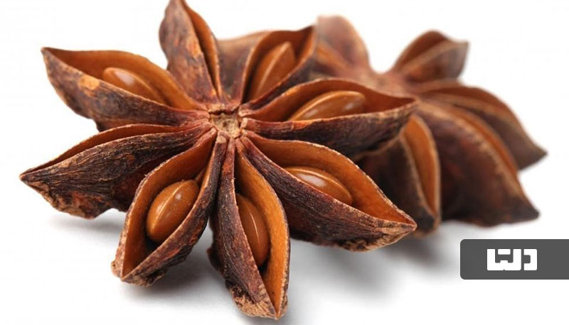 یکی دیگر از گیاهان دارویی مفید برای درمان خانگی سرفه خشک، بادیان رومی است