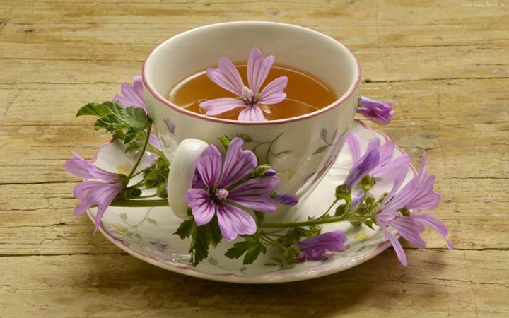 گل ختمی گلو را نرم می کند