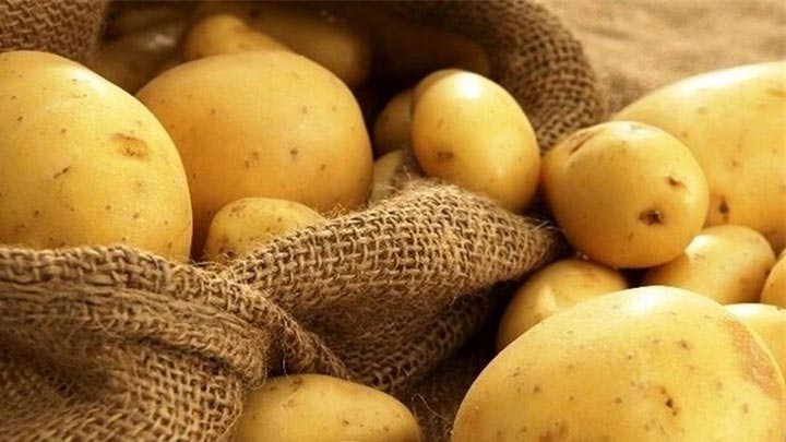 شرایط ایده‌آل برای نگهداری سیب زمینی