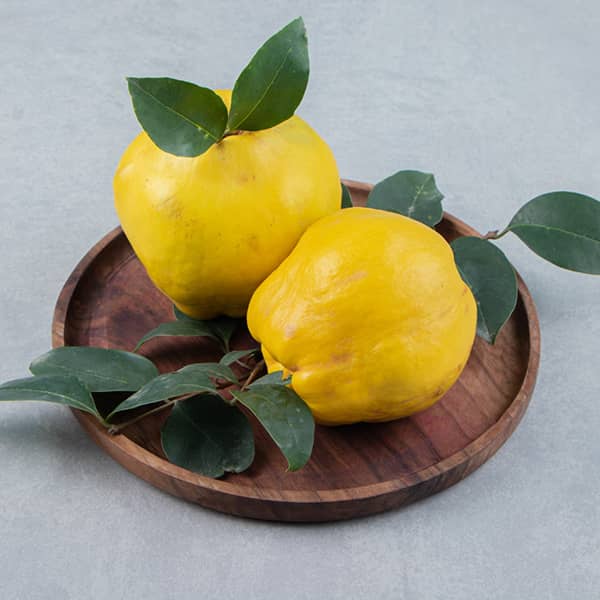 خواص به برای معده, خواص به برای زخم معده