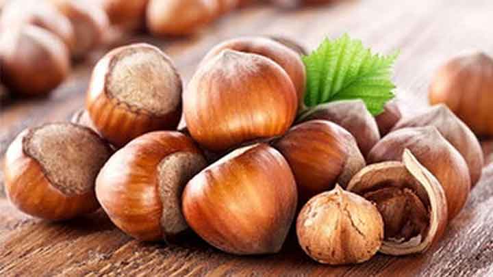 فندق قاتق گیلانی