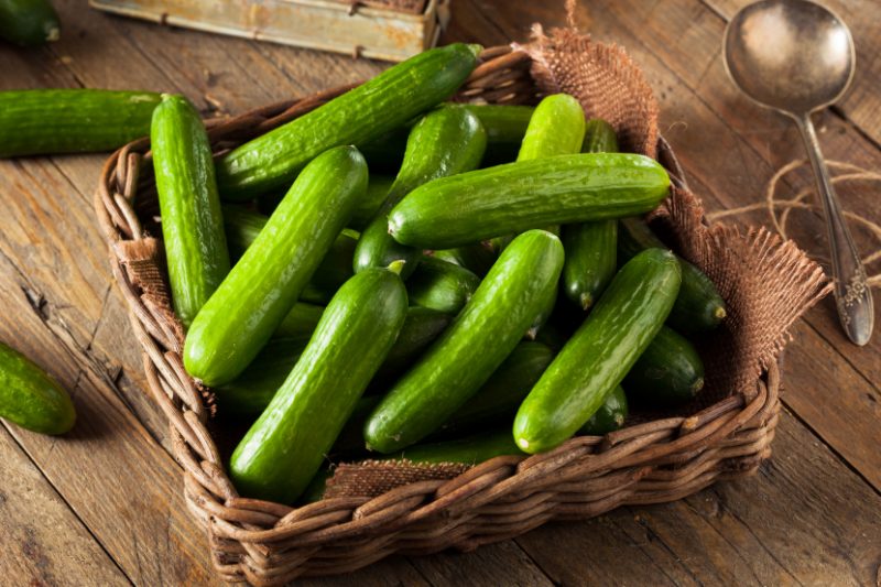 چه جوری خیار قلمی خوب بخریم؟