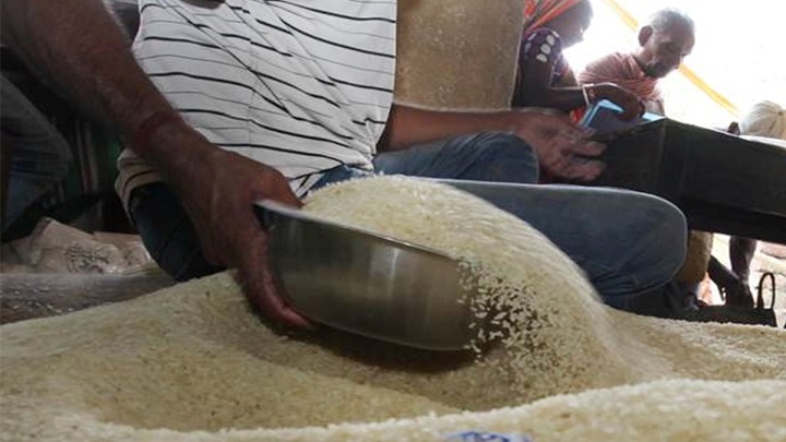برنج را در چه محیطی نگه داریم تا از شپشک در امان باشد؟