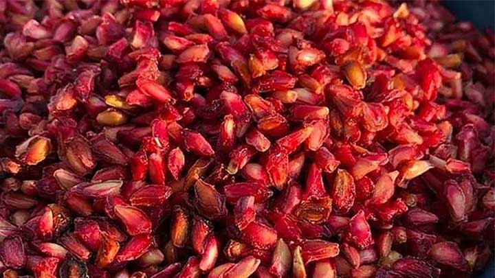 چند فوت و فن کوزه‌گری در طرز تهیه دانه‌ انار خشک شده