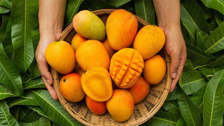 مهم‌ترین خواص انبه برای زنان
