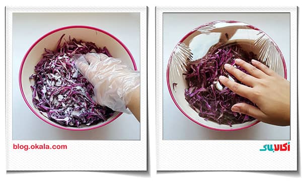 مراحل تهیه ترشی کلم