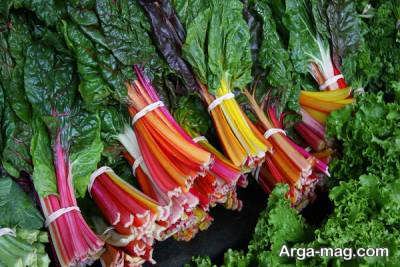 ترشی برگ چغندر با دستور تهیه ای راحت