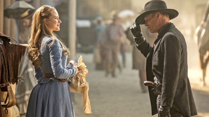 دنیای غرب (Westworld) از سریال‌هایی که باید بعد از فصل 1 تمام می‌شدند