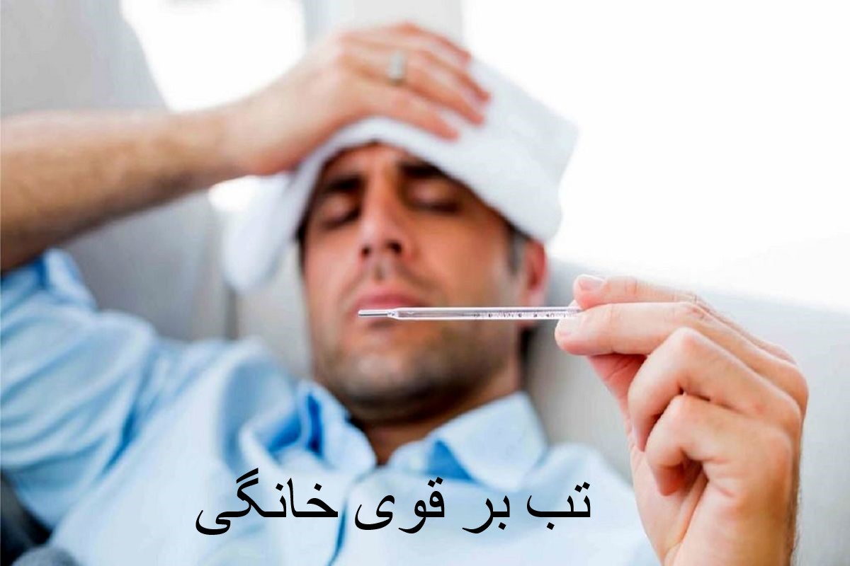 تب بر قوی خانگی