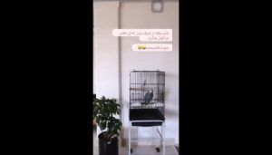 حرف زدن بامزه حیوان خانگی مبینا نصری که خیلی دوستش دارد
