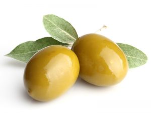 نکات درمانی زیتون